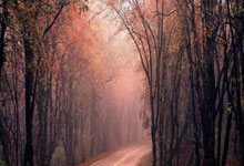 软件应用板块是什么类型,软件板块最新消息