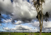 下载软件应用宝安装,应用宝安装器