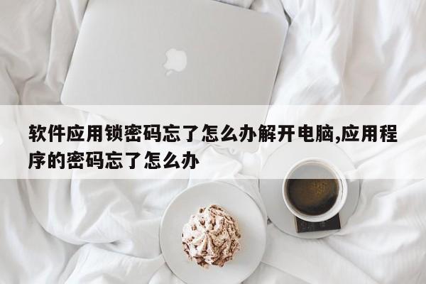 软件应用锁密码忘了怎么办解开电脑,应用程序的密码忘了怎么办