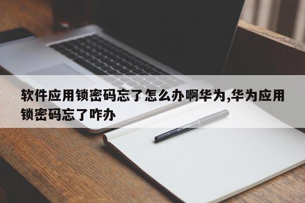 软件应用锁密码忘了怎么办啊华为,华为应用锁密码忘了咋办