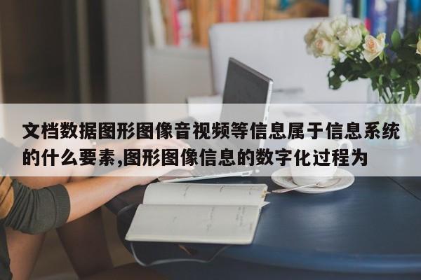 文档数据图形图像音视频等信息属于信息系统的什么要素,图形图像信息的数字化过程为