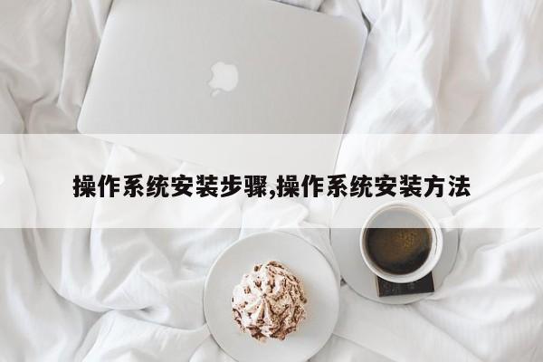 操作系统安装步骤,操作系统安装方法