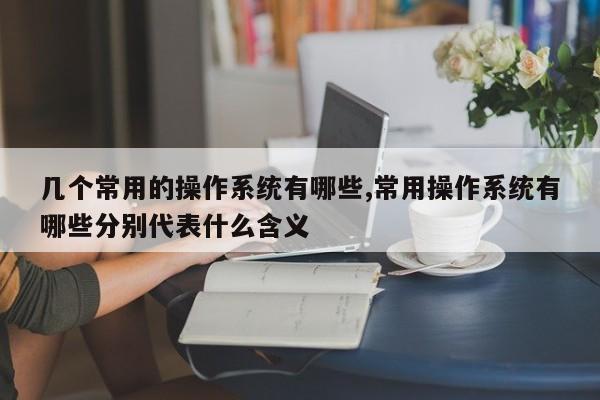 几个常用的操作系统有哪些,常用操作系统有哪些分别代表什么含义