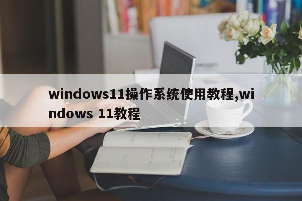 windows11操作系统使用教程,windows 11教程