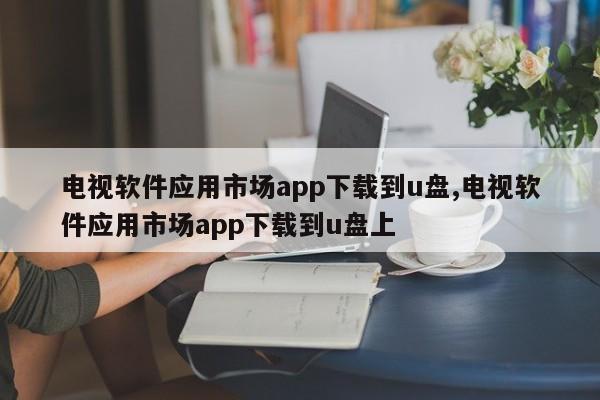 电视软件应用市场app下载到u盘,电视软件应用市场app下载到u盘上