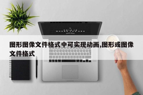 图形图像文件格式中可实现动画,图形或图像文件格式