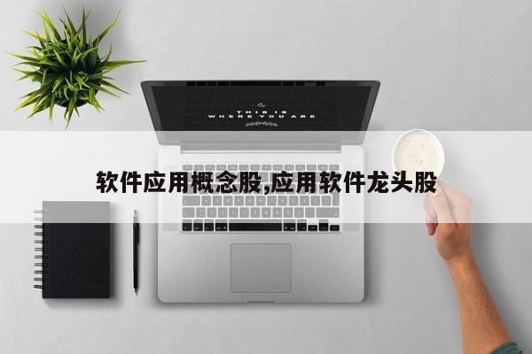 软件应用概念股,应用软件龙头股